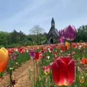 ヒメ日記 2025/08/19 10:01 投稿 りの 人妻本舗愛のしずく名古屋店