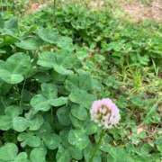 ヒメ日記 2025/08/30 10:31 投稿 りの 人妻本舗愛のしずく名古屋店