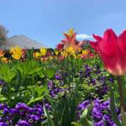 ヒメ日記 2025/09/03 08:57 投稿 りの 人妻本舗愛のしずく名古屋店