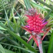 ヒメ日記 2025/09/16 09:50 投稿 りの 人妻本舗愛のしずく名古屋店