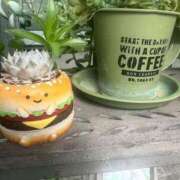 ヒメ日記 2025/09/28 10:52 投稿 りの 人妻本舗愛のしずく名古屋店