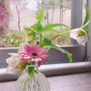 ヒメ日記 2025/10/07 09:22 投稿 りの 人妻本舗愛のしずく名古屋店