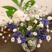 ヒメ日記 2025/10/17 10:36 投稿 りの 人妻本舗愛のしずく名古屋店