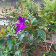 ヒメ日記 2025/11/07 09:17 投稿 りの 人妻本舗愛のしずく名古屋店