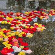 ヒメ日記 2025/11/16 11:01 投稿 りの 人妻本舗愛のしずく名古屋店