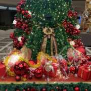 ヒメ日記 2025/12/04 11:28 投稿 りの 人妻本舗愛のしずく名古屋店