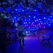 ヒメ日記 2025/12/05 21:23 投稿 りの 人妻本舗愛のしずく名古屋店