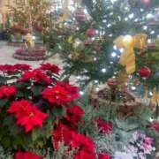 ヒメ日記 2025/12/06 11:55 投稿 りの 人妻本舗愛のしずく名古屋店