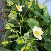 ヒメ日記 2026/01/19 09:06 投稿 りの 人妻本舗愛のしずく名古屋店