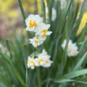 ヒメ日記 2026/02/28 11:00 投稿 りの 人妻本舗愛のしずく名古屋店