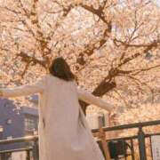 ヒメ日記 2026/03/06 11:23 投稿 りの 人妻本舗愛のしずく名古屋店