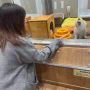 ヒメ日記 2026/03/08 20:15 投稿 りの 人妻本舗愛のしずく名古屋店