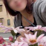 ヒメ日記 2026/04/20 09:01 投稿 りの 人妻本舗愛のしずく名古屋店