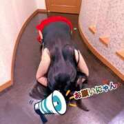 ヒメ日記 2025/11/07 14:05 投稿 もなみ 人妻本舗愛のしずく名古屋店