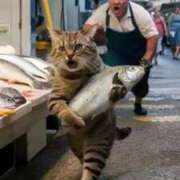 ヒメ日記 2025/03/06 19:29 投稿 ゆきの 人妻本舗愛のしずく名古屋店