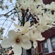 ヒメ日記 2025/03/26 20:16 投稿 ゆきの 人妻本舗愛のしずく名古屋店