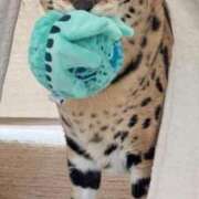 ヒメ日記 2025/05/23 19:22 投稿 ゆきの 人妻本舗愛のしずく名古屋店