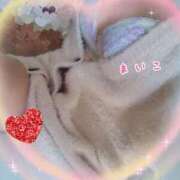 ヒメ日記 2024/12/29 13:26 投稿 まいこ 夜這専門発情する奥様たち 難波店