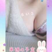 ヒメ日記 2025/02/08 11:24 投稿 まいこ 夜這専門発情する奥様たち 難波店