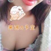 ヒメ日記 2025/03/15 08:04 投稿 まいこ 夜這専門発情する奥様たち 難波店