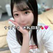 ヒメ日記 2024/11/11 12:24 投稿 ♡ナナ MEGA PALACE(メガパレス）