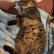 ヒメ日記 2025/02/21 20:08 投稿 きょうこ 完熟ばなな新宿