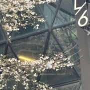 ヒメ日記 2025/03/26 21:55 投稿 きょうこ 完熟ばなな新宿