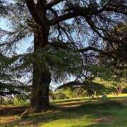 ヒメ日記 2025/06/06 22:55 投稿 きょうこ 完熟ばなな新宿