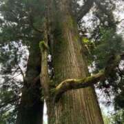 ヒメ日記 2025/06/18 12:35 投稿 きょうこ 完熟ばなな新宿