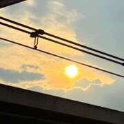 ヒメ日記 2025/08/06 18:05 投稿 きょうこ 完熟ばなな新宿