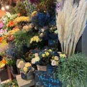 ヒメ日記 2025/10/02 13:45 投稿 きょうこ 完熟ばなな新宿