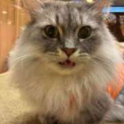 ヒメ日記 2025/10/30 14:05 投稿 きょうこ 完熟ばなな新宿