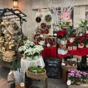 ヒメ日記 2025/11/13 11:46 投稿 きょうこ 完熟ばなな新宿