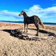 ヒメ日記 2026/01/01 16:45 投稿 きょうこ 完熟ばなな新宿