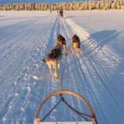 ヒメ日記 2026/02/04 20:25 投稿 きょうこ 完熟ばなな新宿