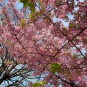 ヒメ日記 2026/03/07 16:25 投稿 きょうこ 完熟ばなな新宿