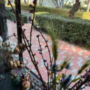 ヒメ日記 2026/03/09 02:35 投稿 きょうこ 完熟ばなな新宿