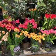 ヒメ日記 2026/03/29 17:25 投稿 きょうこ 完熟ばなな新宿