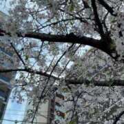 ヒメ日記 2026/04/03 20:55 投稿 きょうこ 完熟ばなな新宿