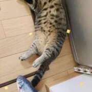 ヒメ日記 2026/05/26 10:35 投稿 きょうこ 完熟ばなな新宿
