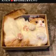 ヒメ日記 2026/07/18 22:55 投稿 きょうこ 完熟ばなな新宿