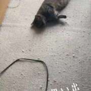 ヒメ日記 2026/09/22 09:55 投稿 きょうこ 完熟ばなな新宿