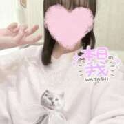 ヒメ日記 2025/04/01 19:30 投稿 美月　はな NADIA大阪店