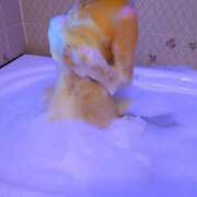 ヒメ日記 2025/03/29 17:58 投稿 あやか 人妻本舗愛のしずく名古屋店