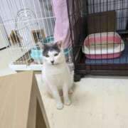 ヒメ日記 2025/05/01 17:22 投稿 あやか 人妻本舗愛のしずく名古屋店