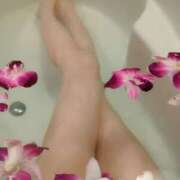 ヒメ日記 2026/02/28 20:30 投稿 あやか 人妻本舗愛のしずく名古屋店