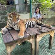 橘（たちばな） トラとともだち。 丸妻 錦糸町店