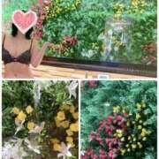 ヒメ日記 2025/04/26 15:10 投稿 ひなこ 西船人妻花壇