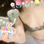 ヒメ日記 2025/05/06 10:23 投稿 ひなこ 西船人妻花壇