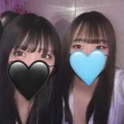 ヒメ日記 2025/04/29 16:30 投稿 ひな ∞ (はっち)